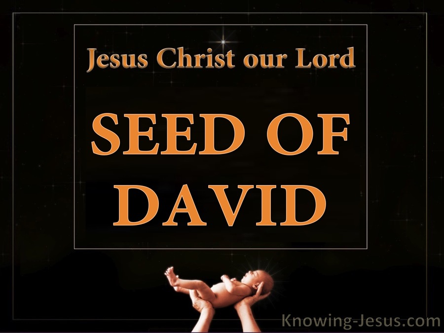 Romans 1:3 Made of the Seed of David (orange)
